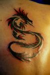 tribal dragon image of tattoos